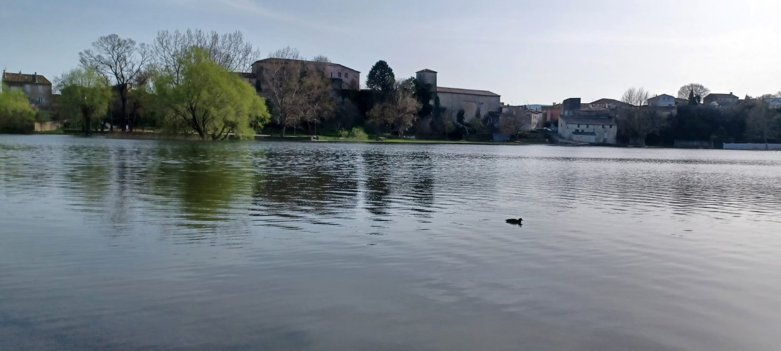 Concours de pêche adultes à Besse sur Issole